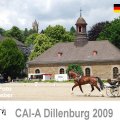 CAI A Dillenburg Dressage EMOTION Picture